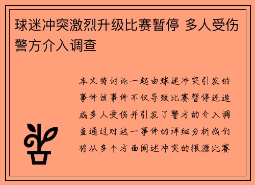 球迷冲突激烈升级比赛暂停 多人受伤警方介入调查